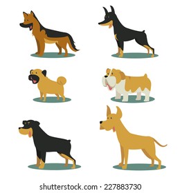 Dog breeds vector illustration set collection