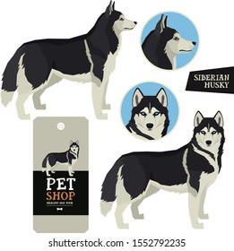 Dog Breeds Vector illustration Siberian Husky Isolated objects 