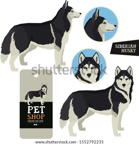 Dog Breeds Vector illustration Siberian Husky Isolated objects 