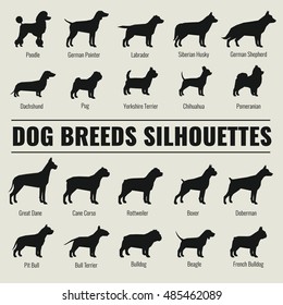 Dog breeds vector silhouettes set. Poodle and german shepherd, dachshund and pug illustration