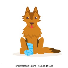 Dog with a broken leg.  Vector. Cartoon. Isolated art on white background. Flat
