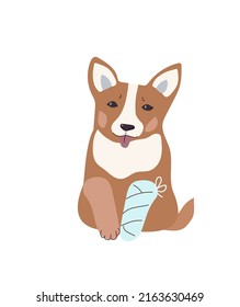 Dog broken paw. Online veterinary medicine.Cartoon vector illustration. svg