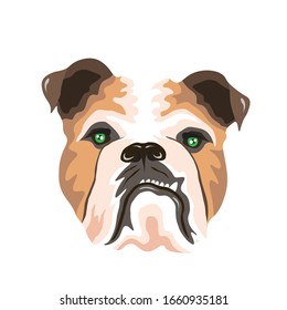 DOg brown artistic objek of frame or stiker