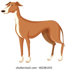 Dog with brown fur illustration