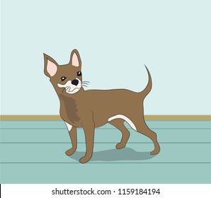 dog is a brown vector in the room