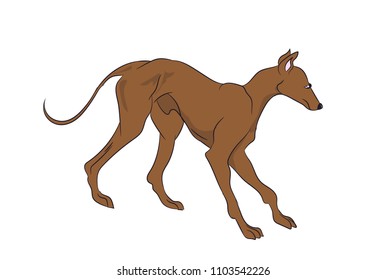 dog is a brown vector, White background

