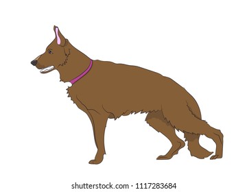 dog is a brown vector, White background
