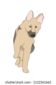 dog is a brown vector, White background
