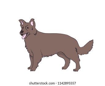 dog is a brown vector, White background
