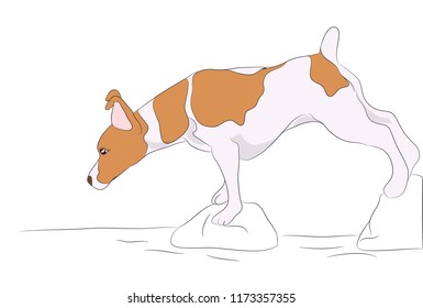dog is a brown vector, White background
