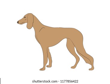 dog is a brown vector, White background
