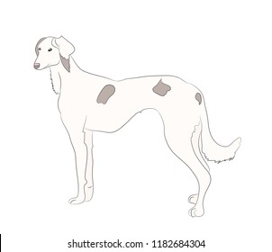 dog is a brown vector, White background
