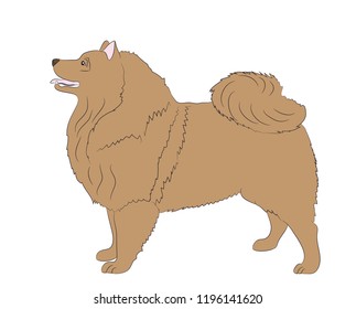 dog is a brown vector, White background
