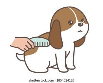 dog brushing. dog salon. A dog is getting trimmed.