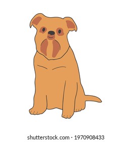 犬 イラスト 顔 正面 Hd Stock Images Shutterstock