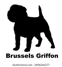 Dog Brussels Griffon silhouette Breeds Bundle Dogs on the move. Dogs in different poses.
The dog jumps, the dog runs. The dog is sitting lying down playing

