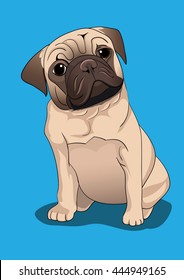 Dog bug on blue screen