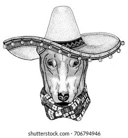 Dog Bull Terrier wearing sombero Vector illustration Old classic vintage style illustration for t-shirt, poster, banner, embem, badge, tattoo, zoo