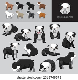 Dog Bulldog Black and White Coat Cartoon Vector Illustration Color Variation Set