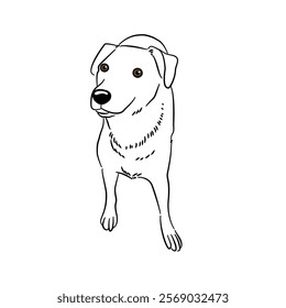 Dog bulldog line art coloring book black and white