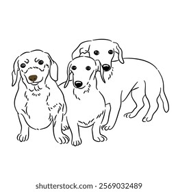 Dog bulldog line art coloring book black and white