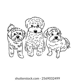 Dog bulldog line art coloring book black and white