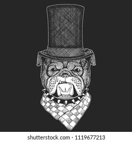 Dog, bulldog. Top hat, cylinder. Hipster animal, gentleman. Classic headdress. Print for children t-shirt, kids clothing.