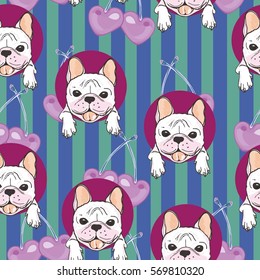 dog bulldog, bulldog vector illustration