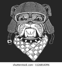 Dog, bulldog. Vintage motorcycle hemlet. Retro style illustration with animal biker for children, kids clothing, t-shirts. Fashion print with cool character. Speed and freedom.