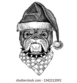 Dog, bulldog wearing christmas Santa Claus hat. Hand drawn image for tattoo, emblem, badge, logo, patch