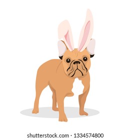 A dog with bunny ears