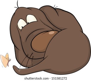 Dog and the butterfly cartoon