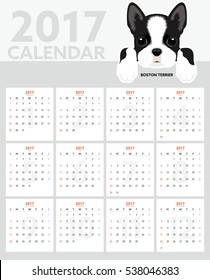 Dog Calendar 2017. Boston Terrier Puppy