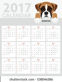 Dog Calendar 2017. Boxer Puppy
