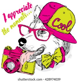 Dog with a camera. Vector illustration for a card or poster. Print on clothes. Husky wearing a cap and sunglasses.