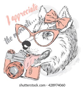 Dog with a camera. Vector illustration for a card or poster. Print on clothes.