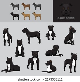 Juego de variación de color del vector de dibujos animados de cano de perro