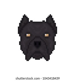 Dog Cane Corso head in pixel art style. Vector illustration.