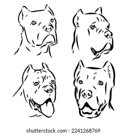 Dog Cane Corso. Illustration on a white background.