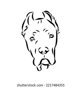 Caña de perro corso italiano vector ilustración aislada en color negro sobre fondo blanco