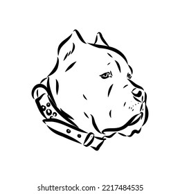 dog Cane corso italiano vector isolated illustration in black color on white background