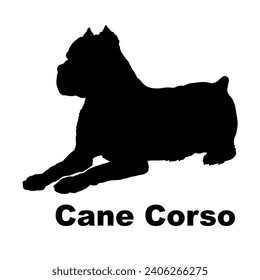 Dog Cane Corso silhouette Breeds Bundle Dogs on the move. Dogs in different poses.
The dog jumps, the dog runs. The dog is sitting lying down playing
