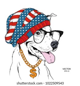 A dog in a cap with an American flag. Vector illustration