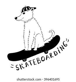 Dog in cap on a skateboard. Skateboarding as a sport.