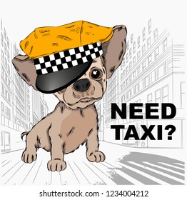 Dog in a cap taxi driver. Dog on the background of the city. Vector illustration