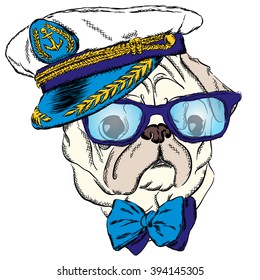 Dog in the captain's cap. Cute puppy. Vector illustration.
