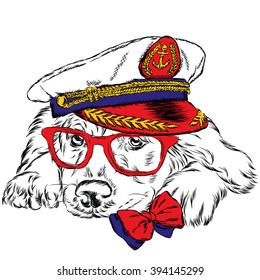 Dog in the captain's cap.  Vector illustration.