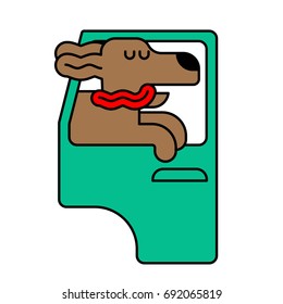 Dog from car window. pet to ride in auto. Traveling is an animal. Cry in wind ears and tongue