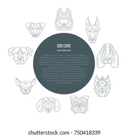 Dog care- brochure template with text area. White background with line heads of pets which created in simple geometric style. Can be used as information flayer of vet clinic, web site banner.