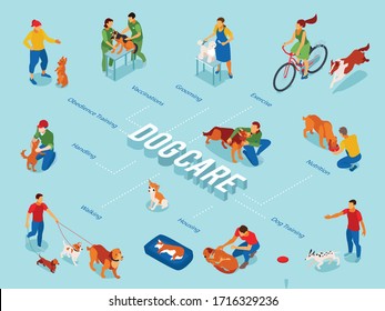 Dog care center isometric flowchart with puppy obedience training pets outdoor walking exercise grooming feeding vector illustration 